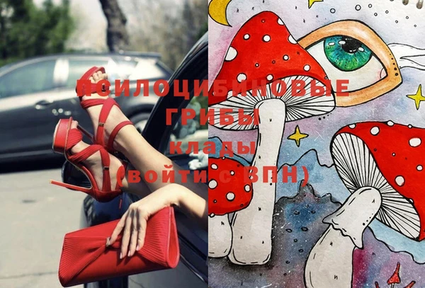 стаф Кинешма